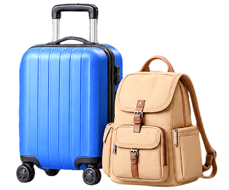 Excess Baggage Courier in tamilnadu